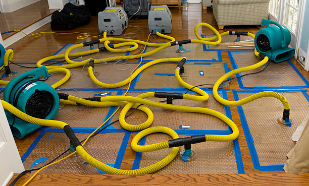 Professional Water Damage Restoration technician working in Humboldt, SD